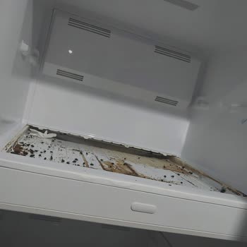 Vestel Tüketiciyi Aldatıcı Hareket