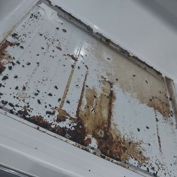 Vestel Tüketiciyi Aldatıcı Hareket