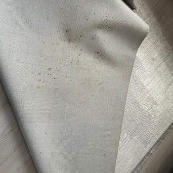 Evidea'dan Aldığım Halı Sarardı Ve Küf Tuttu!