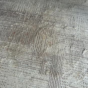 Evidea'dan Aldığım Halı Sarardı Ve Küf Tuttu!