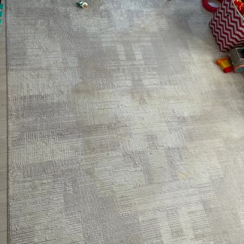 Evidea'dan Aldığım Halı Sarardı Ve Küf Tuttu!