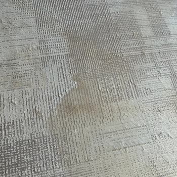 Evidea'dan Aldığım Halı Sarardı Ve Küf Tuttu!