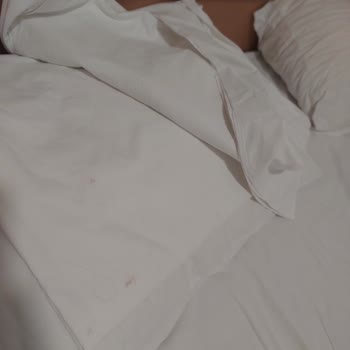 Gruppal Ve Rio Budva Otel Odasında Küf