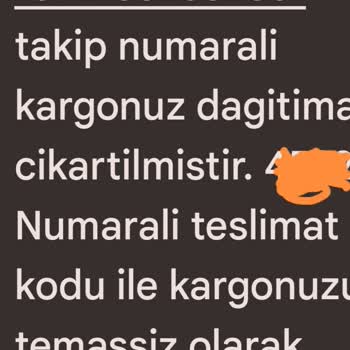 Sürat Kargo Kargomun Teslim Etmemesi