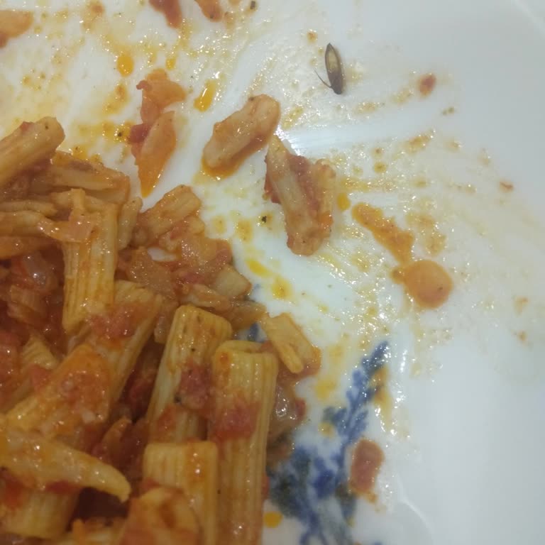 Tat Makarna Makarnadan Böcek Çıktı