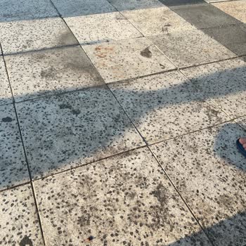 Avşa Belediyesi Hijyene Önem Vermiyor