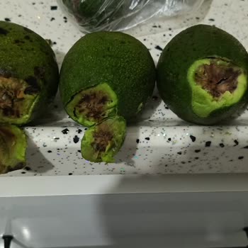 Şok Marketler Şoktan Bozuk Ürün Geldi