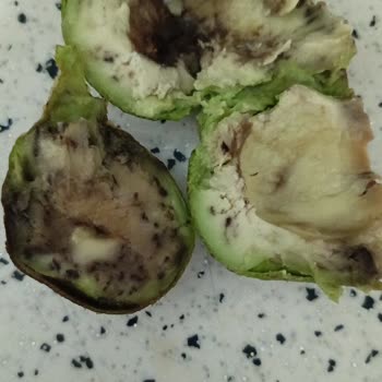 Şok Marketler Şoktan Bozuk Ürün Geldi