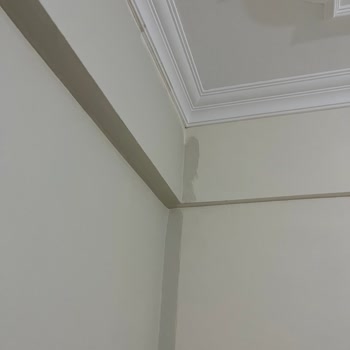 Polisan Boya Tarafımıza Yanlış Renk Verildi