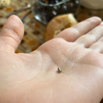 Lezita Piliç Acılı Kebapta Beklenmedik Durum
