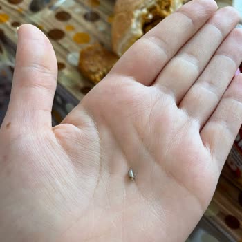 Lezita Piliç Acılı Kebapta Beklenmedik Durum