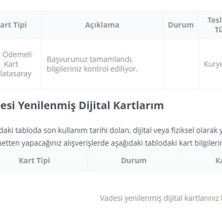 Passolig Kart Başvuru Ekranı Bilgiler Kontrol Ediliyor