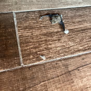 Villa Vagonu Pişmanlığı, Ölmüş Yarasa Çıktı!