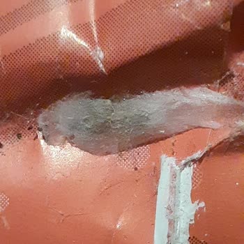 Migros Sanaldan Gelen Kurtlu Un