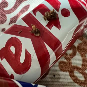 Nestle Kitkat İçerisinden Saç Çıktı