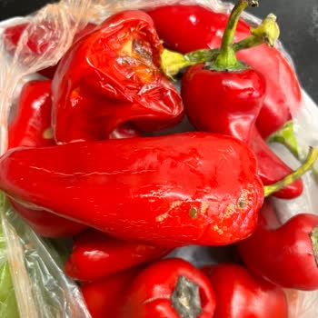 Migros Küflü Biber Getirip İadesi İçin Gelmiyor Bekletiyor