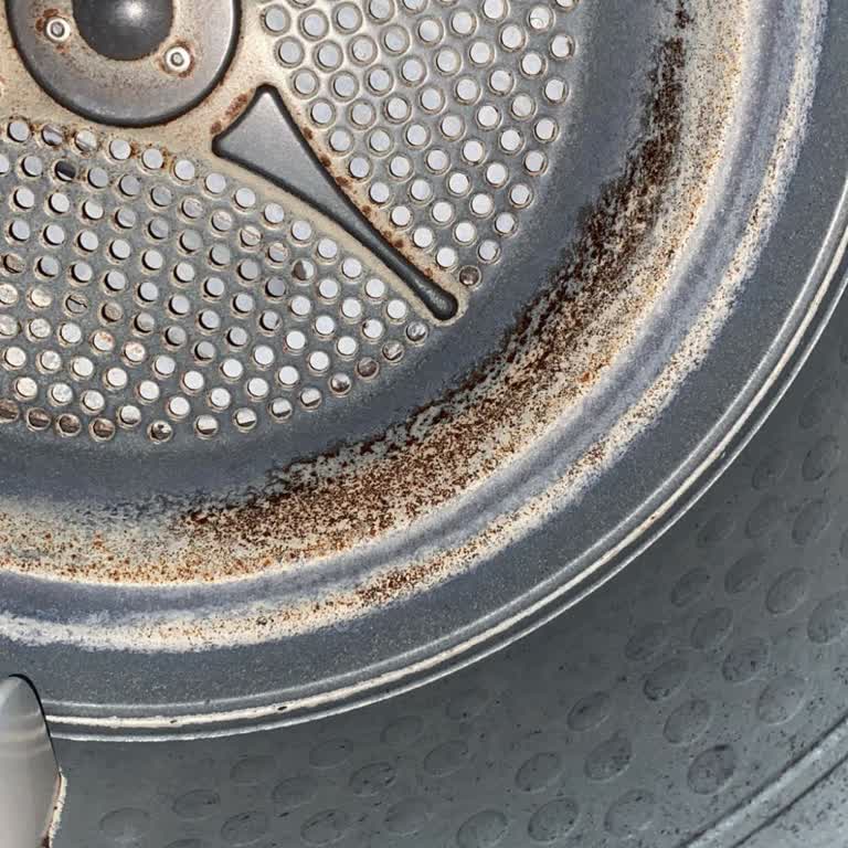 Hoover Kurutucu Küf İçinde