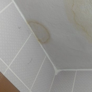 Sompo Hasar Ödemesi Yapılmadı