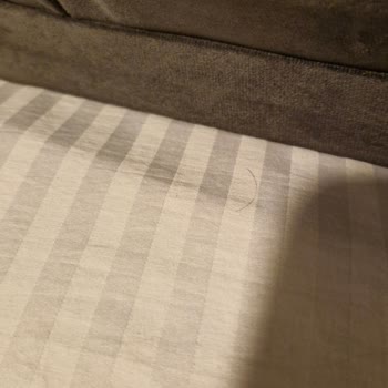 Loyal City Hotel Memnuniyetsizliği