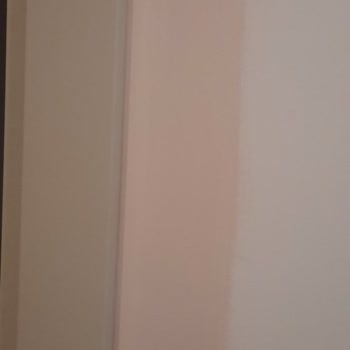 Filli Boya BEJ-I Pembe 2024 Trend Renkleri