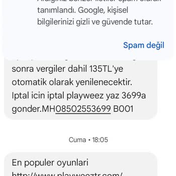 Playweez Oyun Sitesinin Aldatmacası