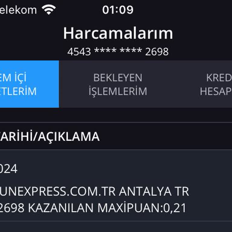 Sunexpress Hava Yolları Ücretsiz Check-in Yalanı