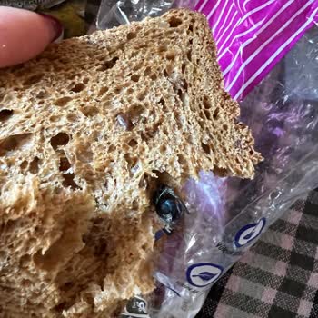 UNO Ekmekten Sinek Çıktı