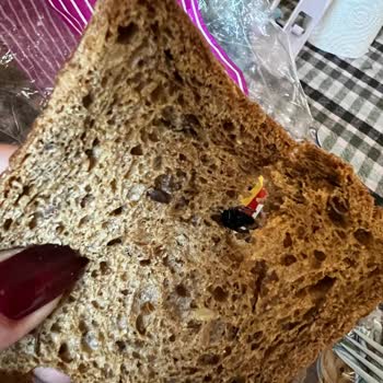 UNO Ekmekten Sinek Çıktı