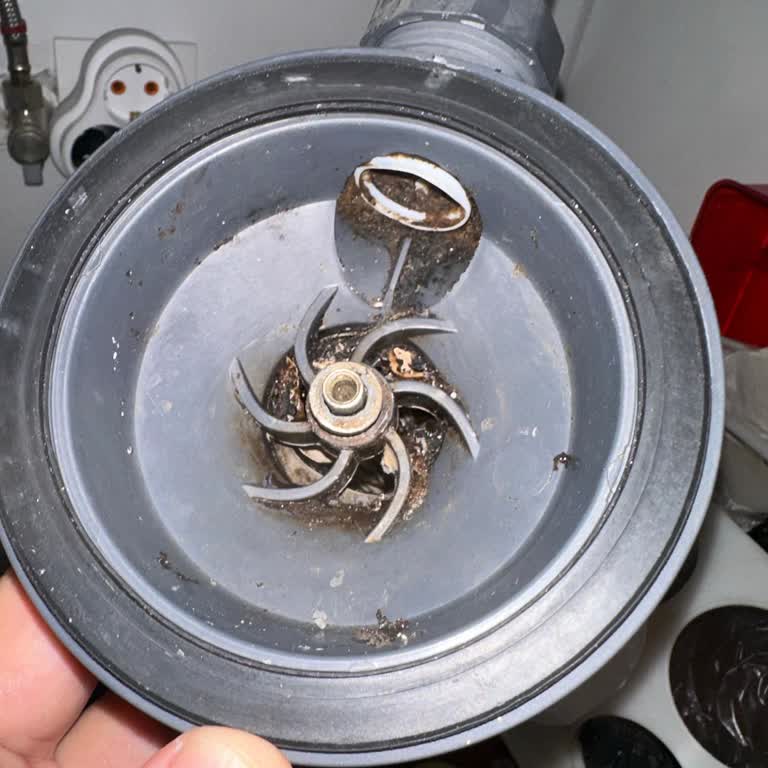 Teka Evye Vida Erimesi