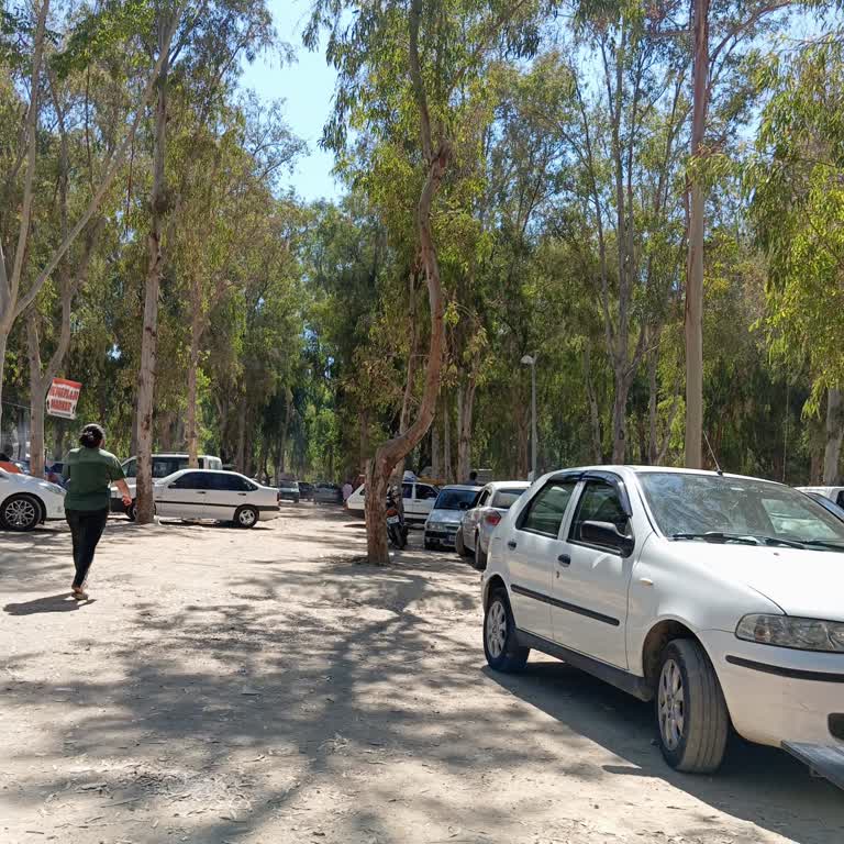 Kuşadası Belediyesi Sevgi Plajı Araç Sorunu!