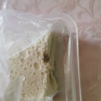 Yemek Sepeti Bozuk Ürün Gönderdi