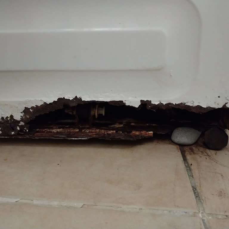 Beko Çamaşır Makinesi Küflendi