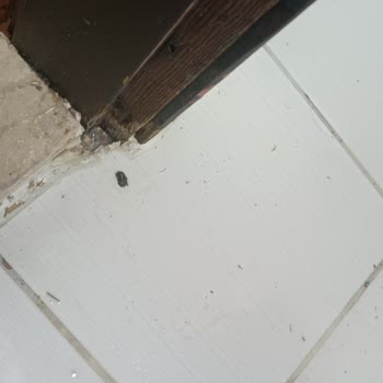 Oscar Seaside Hotel & Spa Bodrum Hiçbir Şey Dahil Değil Konsept