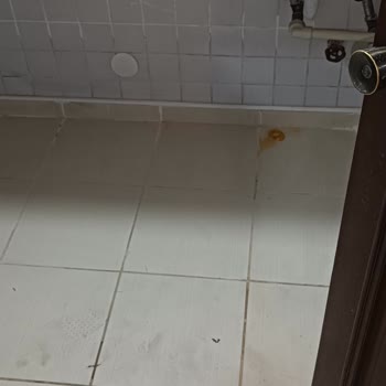 Oscar Seaside Hotel & Spa Bodrum Hiçbir Şey Dahil Değil Konsept