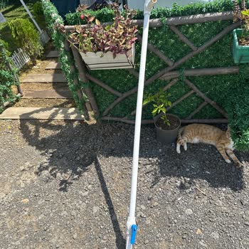 Blue Sky Karavan Tam Bir Kabus Aman Dikkat!