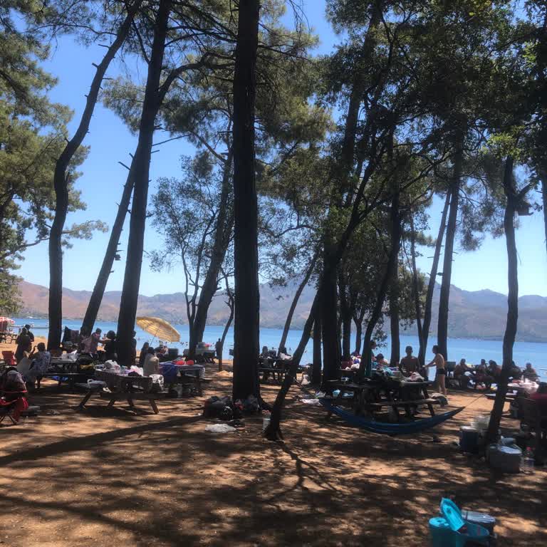 Çubucak Orman Kampı Müşteri Memnuniyetsizliği Ve Kötü Hizmet Deneyimi