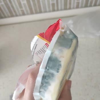 Ekici Peynir Ekici Taze Kaşar Dolabın En Soğuk Bölmesinde Küflendi