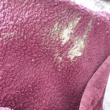 Özdilek Ev Tekstili Havlu Renk Attı