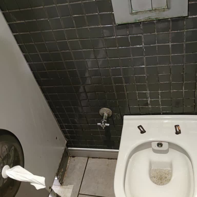 Shell Petrol Sarıkemer Hakkında