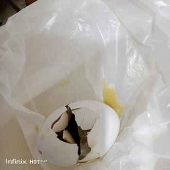 Hiçdurmaz Yumurta Son Kullanım Tarihi Skandalı!