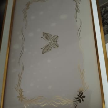 Schafer Tepsi Su Lekelenmesi Sorunu