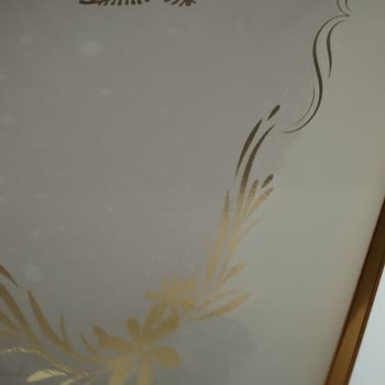 Schafer Tepsi Su Lekelenmesi Sorunu