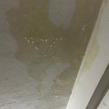 Koru Sigorta Assistance Hizmetleri Hizmet Vermemesi