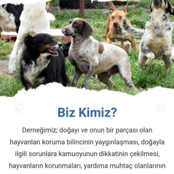 Pati-Sev Derneği Amacı Dışında Hizmet Ediyor