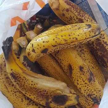 Migros Çöpe Atılacak Ürünleri Gönderdiler
