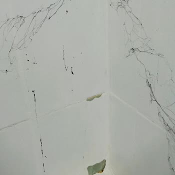 Bianca Boya Bianca Stella Pişmanlığı
