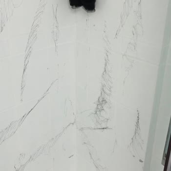Bianca Boya Bianca Stella Pişmanlığı