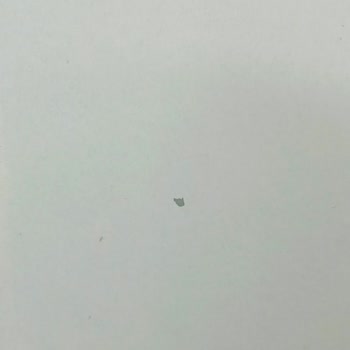 Bianca Boya Bianca Stella Pişmanlığı