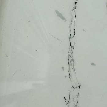 Bianca Boya Bianca Stella Pişmanlığı