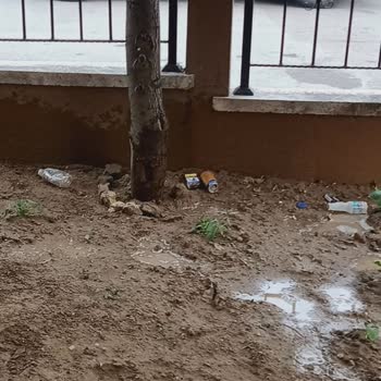 BİM Mağaza Çalışanları